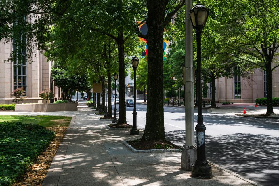 Free Image of Tranquil street lined with lush green trees 