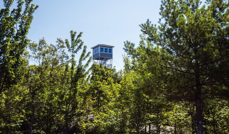 Free Image of Lookout tower peering over a forest canopy 