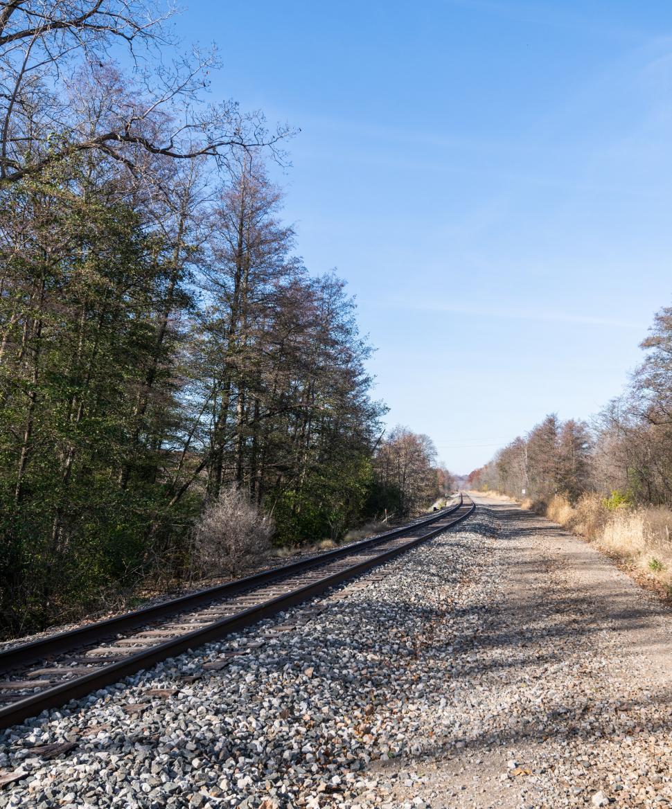 Free Image of Rural railway track amidst autumn trees 