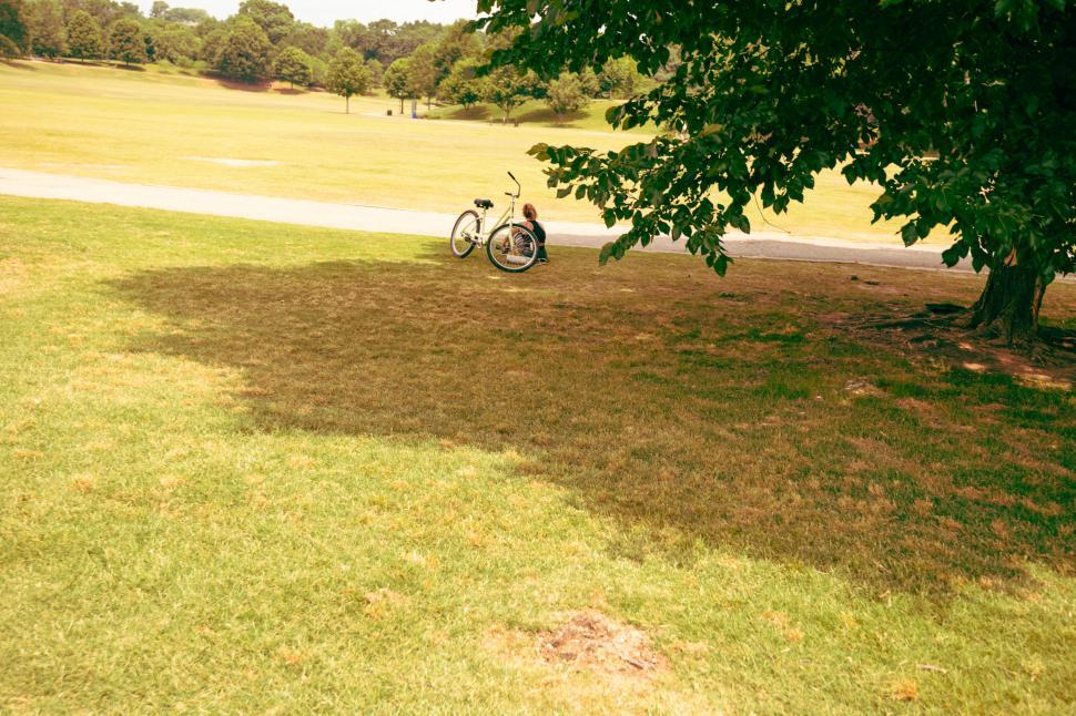 Free Image of Bike resting under tree in sunny park 