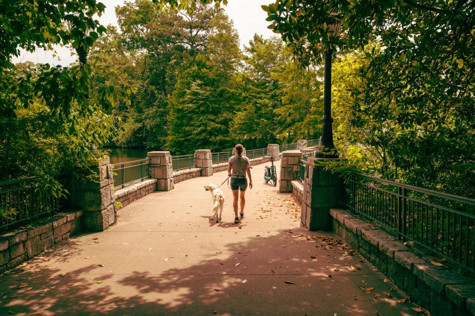 Free Image of Woman walking with dog on a park bridge 