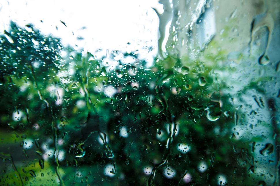 Free Image of Raindrops on a window glass close-up 
