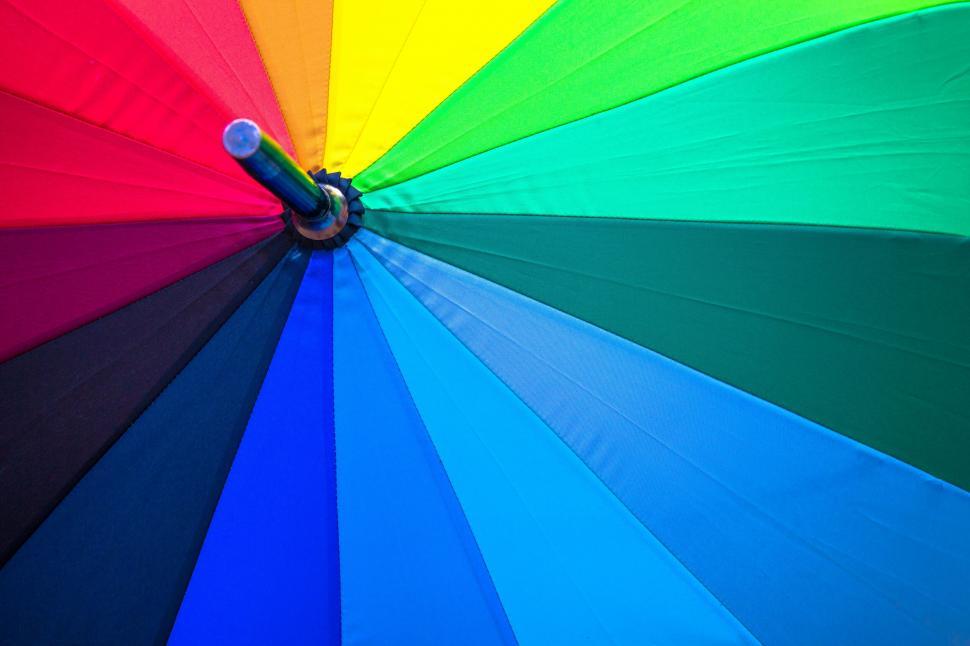 Free Image of Vibrant colored umbrella creating a tunnel 