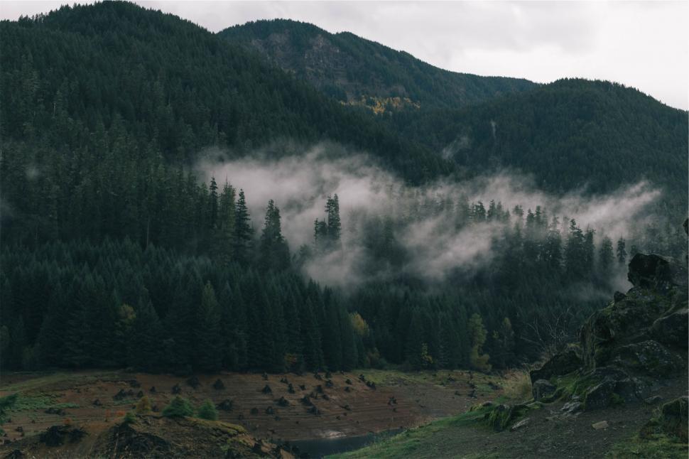 Free Image of Foggy forest landscape with mountains 