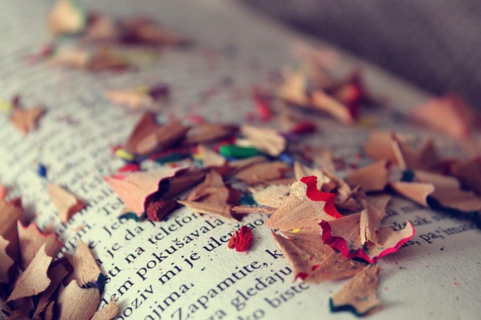 Free Image of Pencil shavings on open book 
