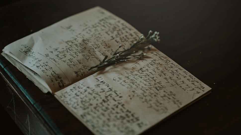 Free Image of Vintage handwritten letter with dried flowers 