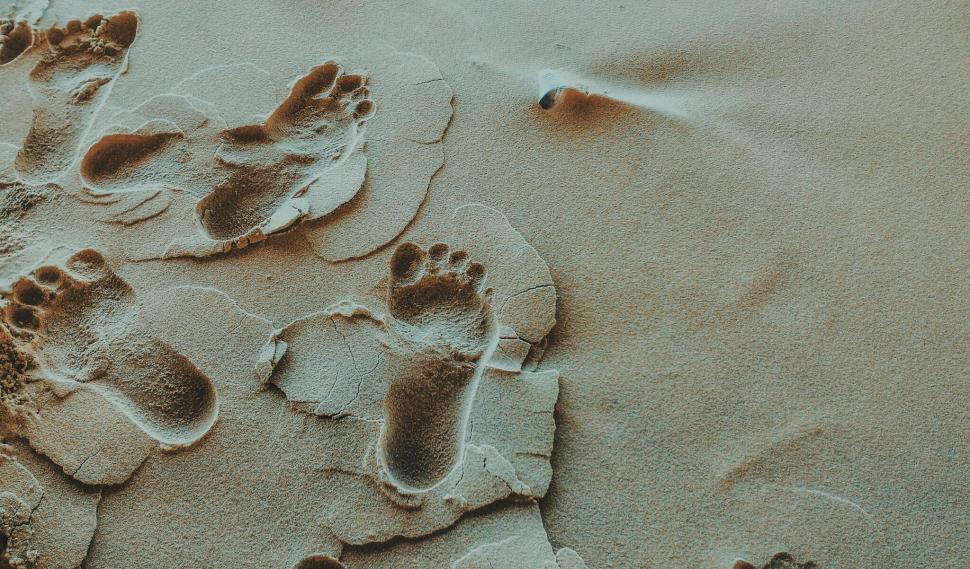 Free Image of Footprints vanishing on sandy beach 