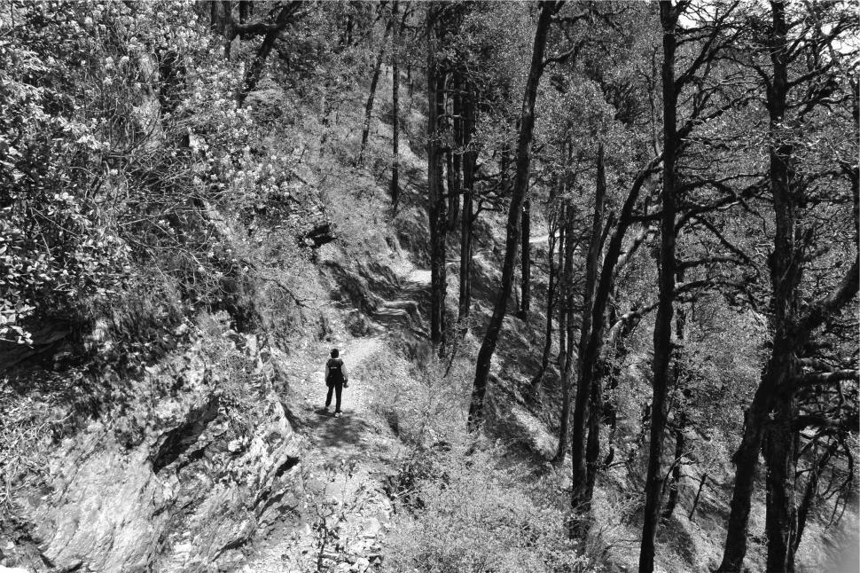 Free Image of Black and white photo of a hiker in the woods 
