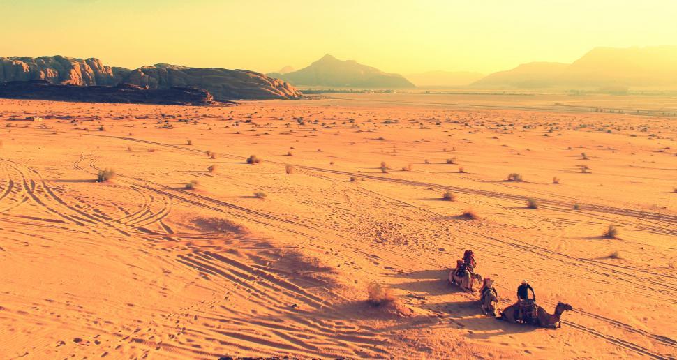 Free Image of Camel caravan journeying through desert 