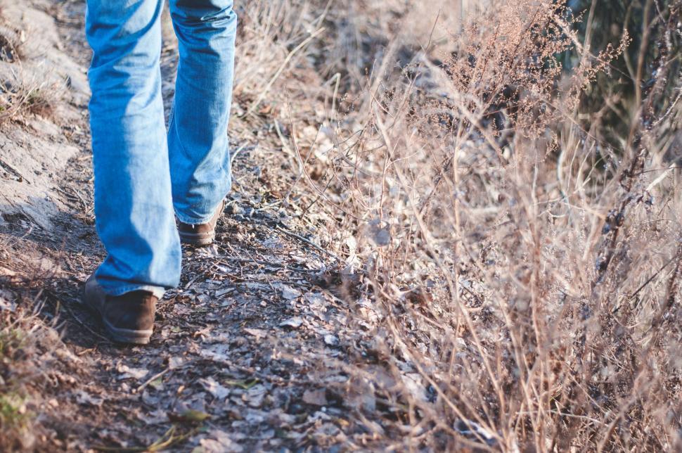 Free Image of Person walking on a forest path in jeans 