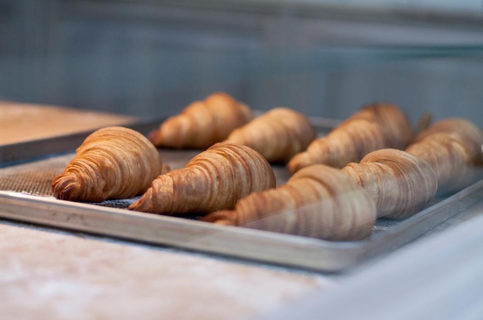 Free Image of Freshly baked croissants on baking sheet 
