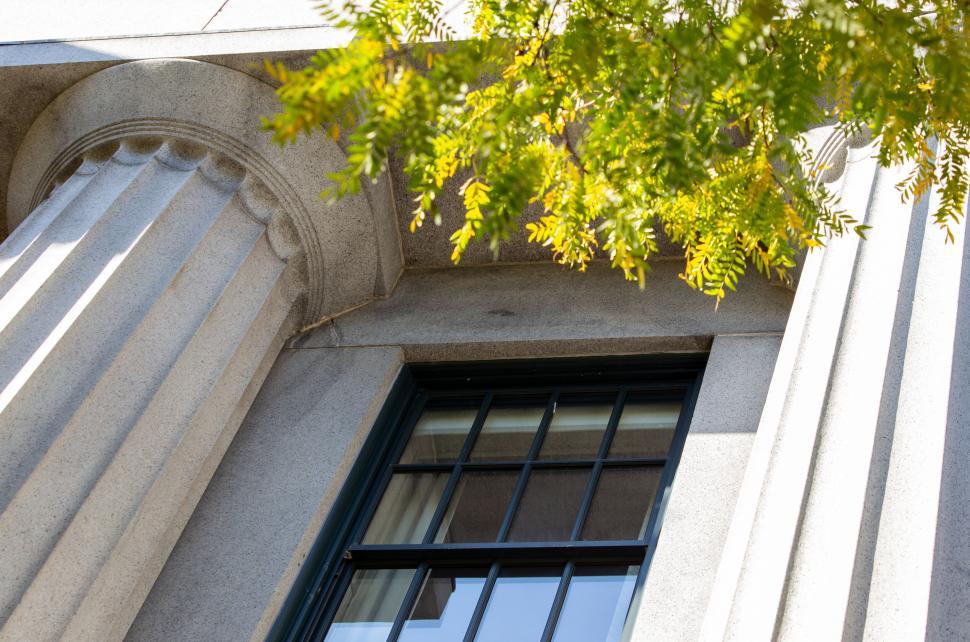 Free Image of Column detailing with leaves over window 