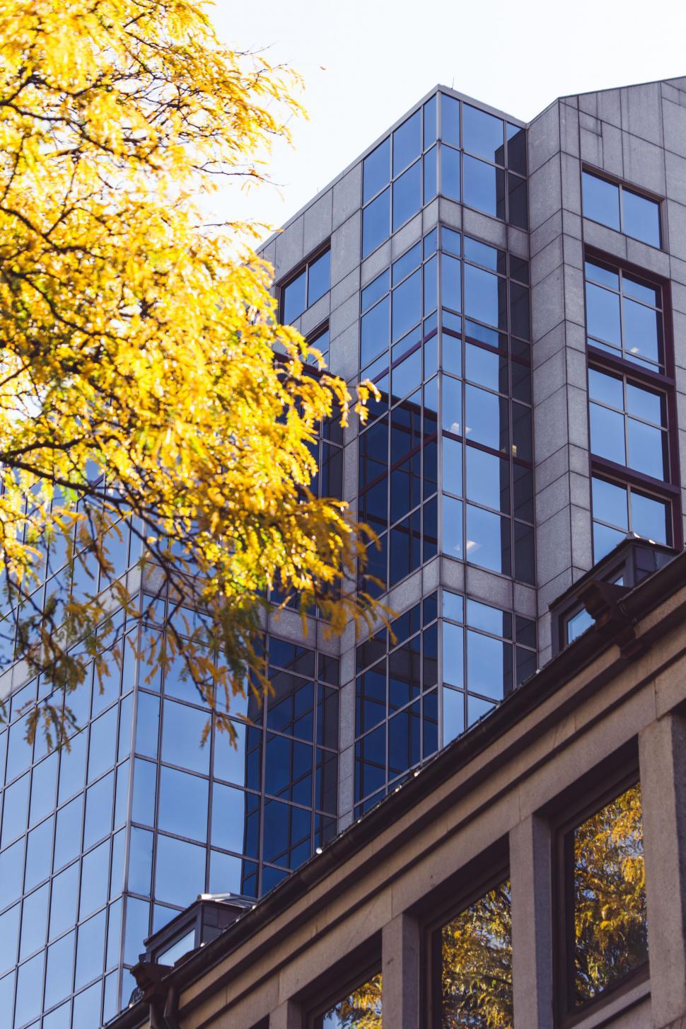 Free Image of Modern office building with autumn foliage 