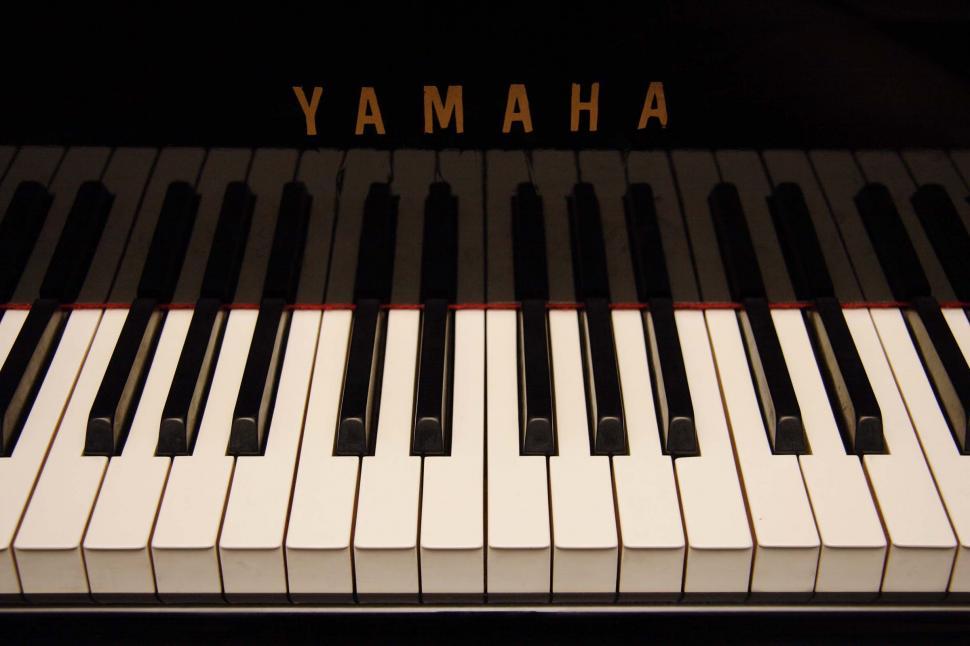 Free Image of Piano - black and white keys 