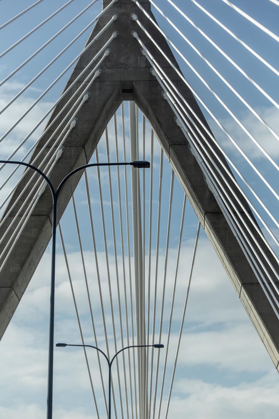 Free Image of Sweeping cables of a modern suspension bridge 
