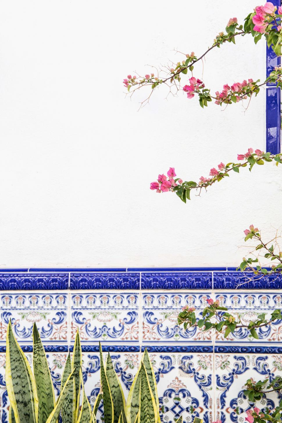 Free Image of Blooming flowers on Portuguese tiles 