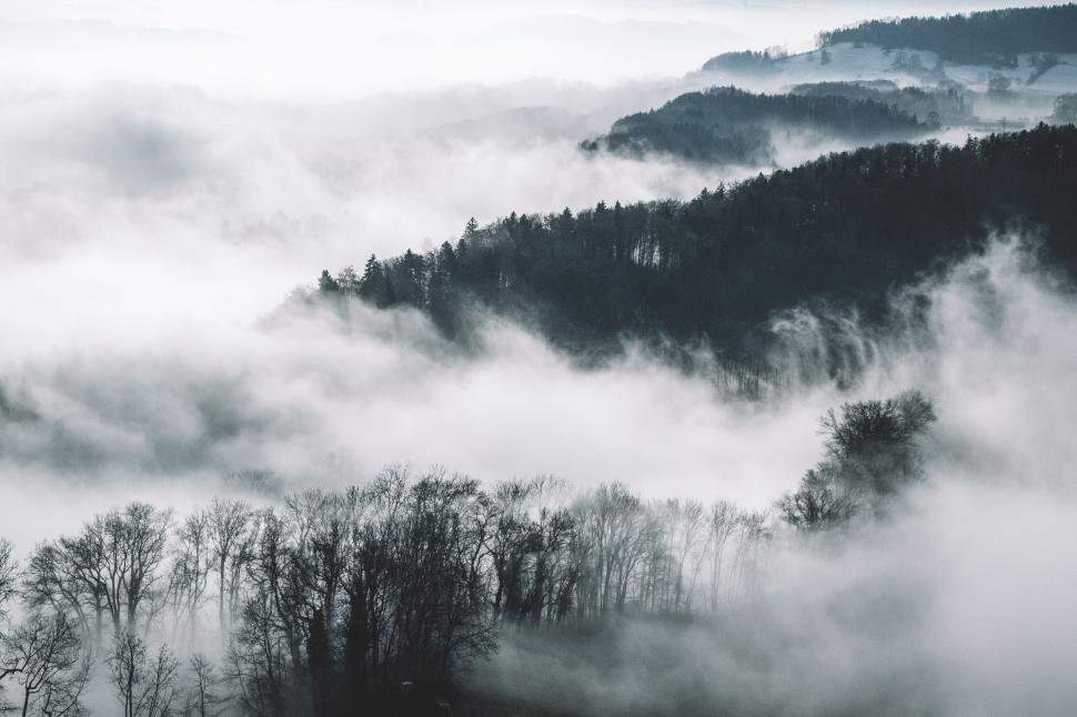 Free Image of Misty forest landscape with hills 