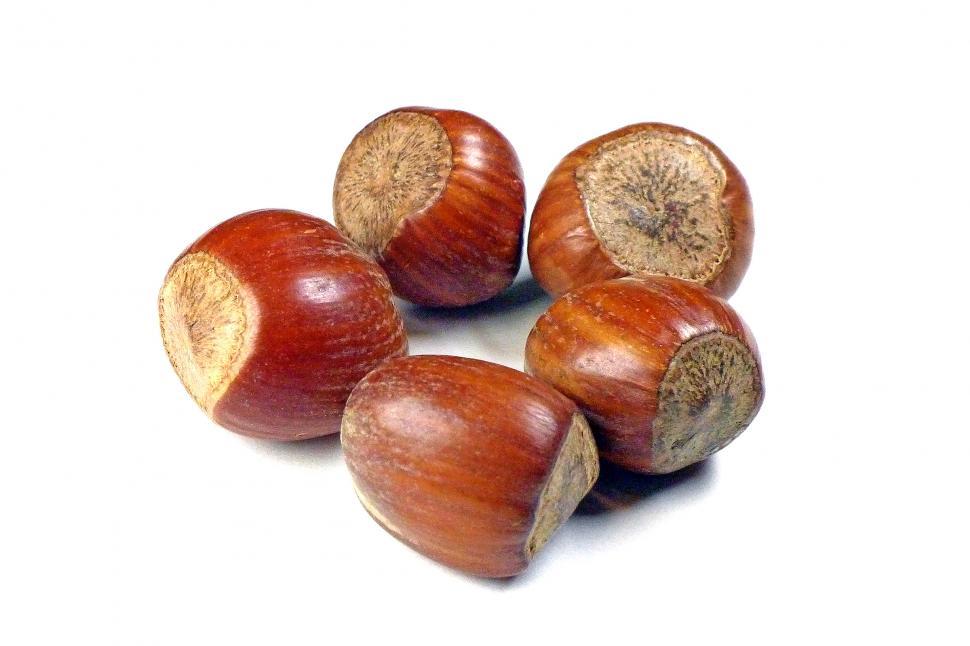 Free Image of Hazelnuts 