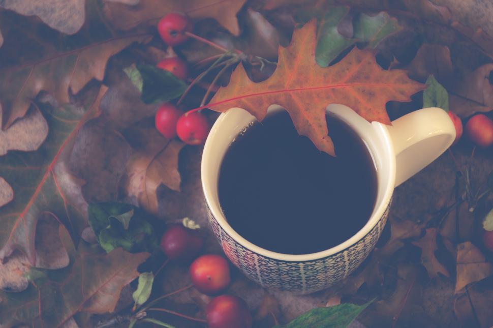 Free Image of Autumn leaves and cup of coffee in nature 