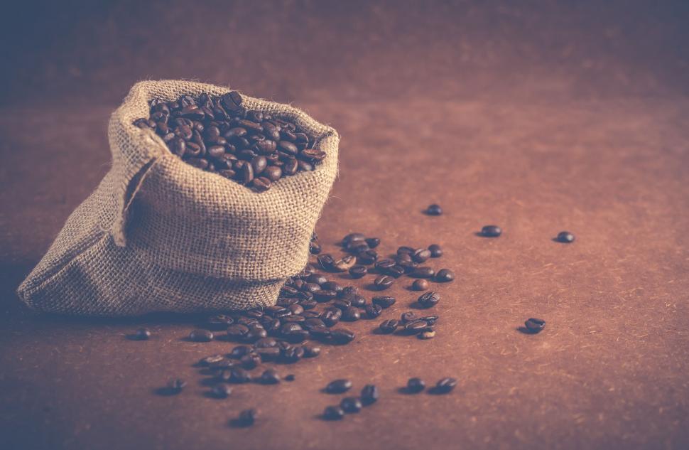 Free Image of Spilled coffee beans from sack on brown backdrop 