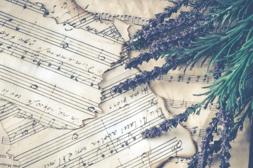Free Image of Sheet music and lavender flowers create a serene vibe 