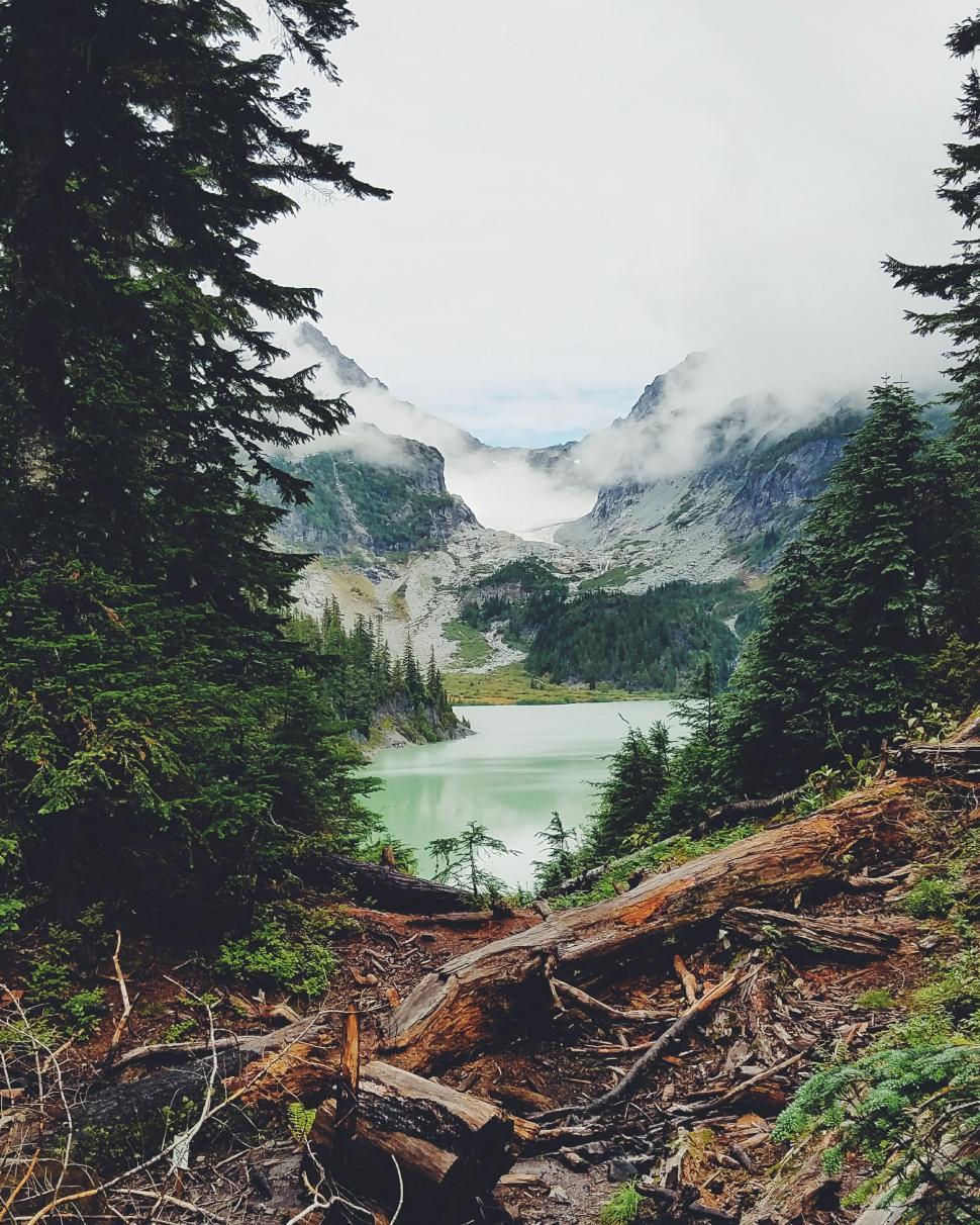 Free Image of Misty mountain lake surrounded by forest 