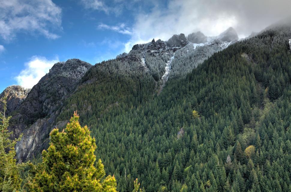 Free Image of Snow capped rugged mountains and pine trees 