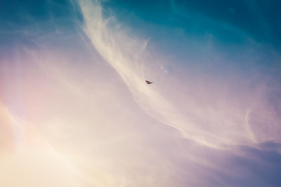 Free Image of Blue sky with wispy clouds and a single bird 