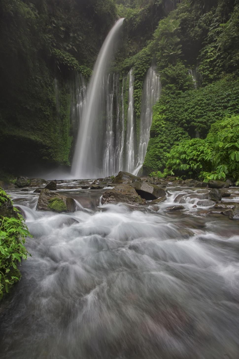Free Image of Tropical waterfall surrounded by lush greenery 