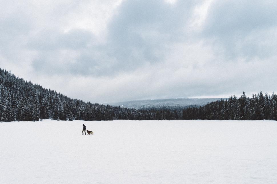 Free Image of Snowy landscape with a person and dog walking 