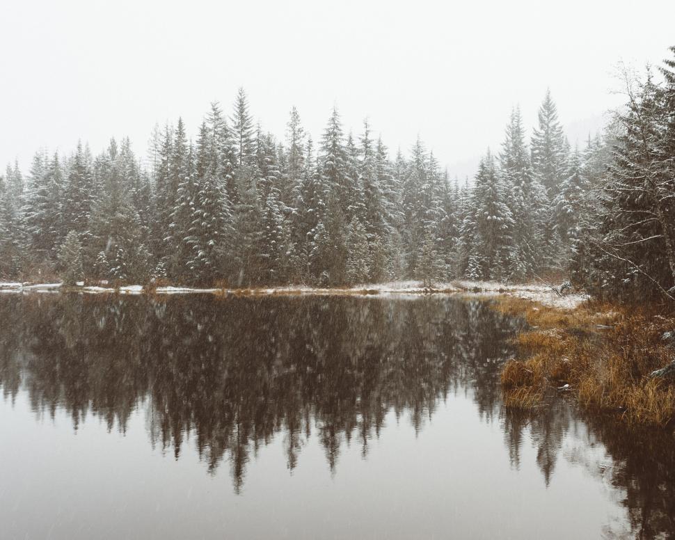 Free Image of Snowy forest mirrored in calm lake 