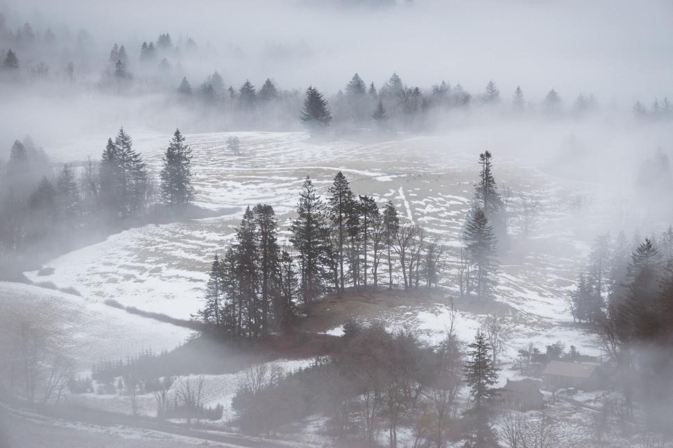 Free Image of Misty winter landscape with trees 