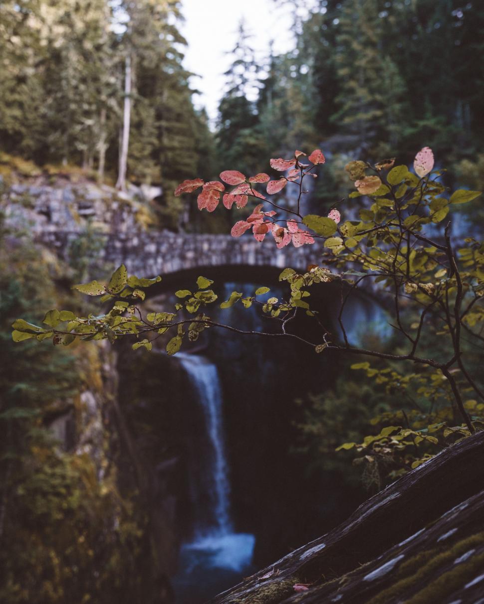 Free Image of Autumn leaves over waterfall bridge 