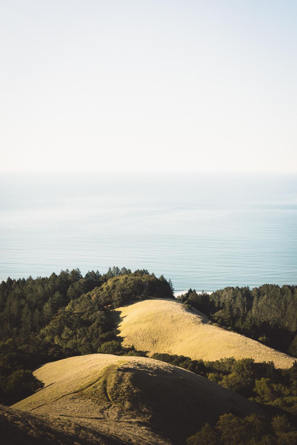 Free Image of Hill with trees overlooking the ocean 