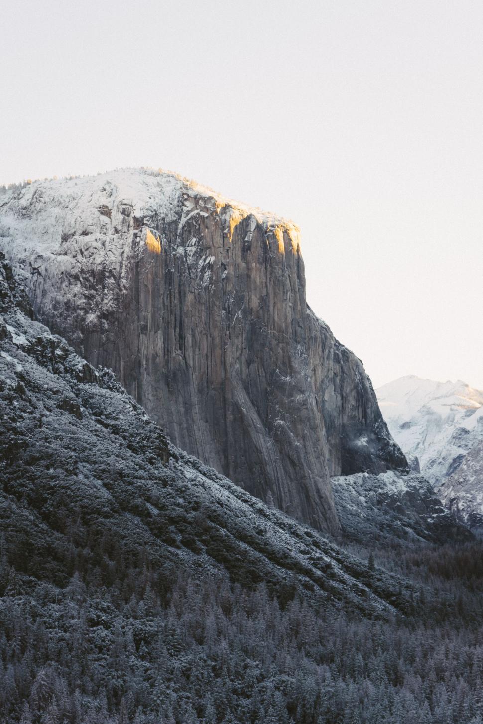 Free Image of Rock face with snow-dusted trees 