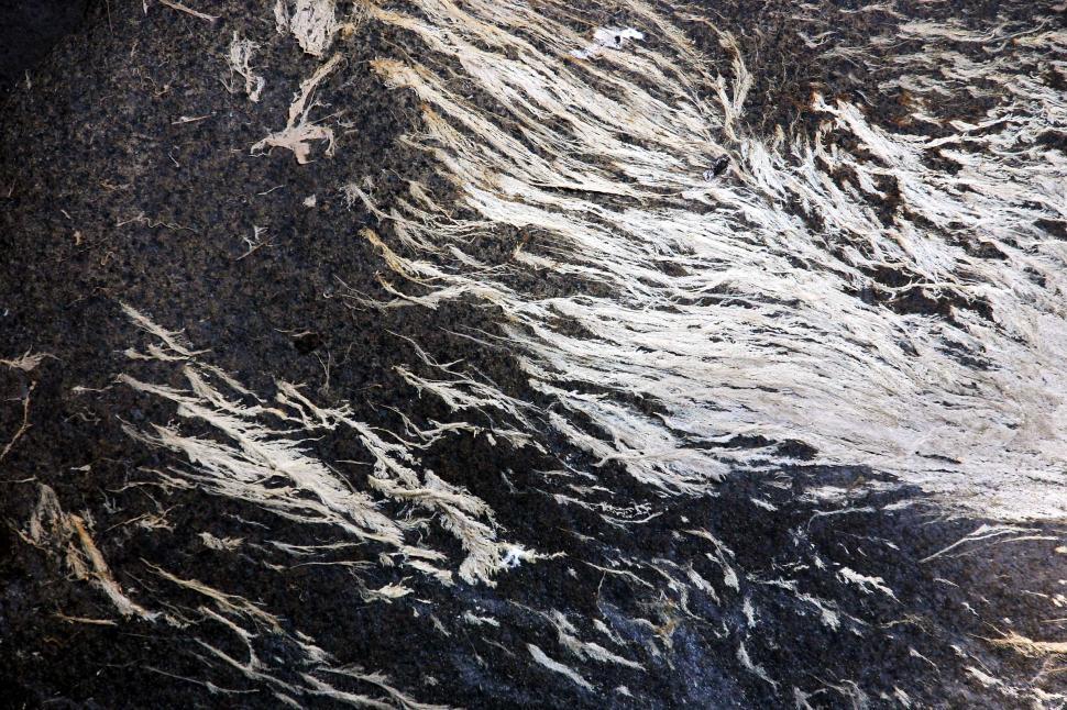 Free Image of rock pattern streak mud dried rocks streambed peel lichen closeup texture background 