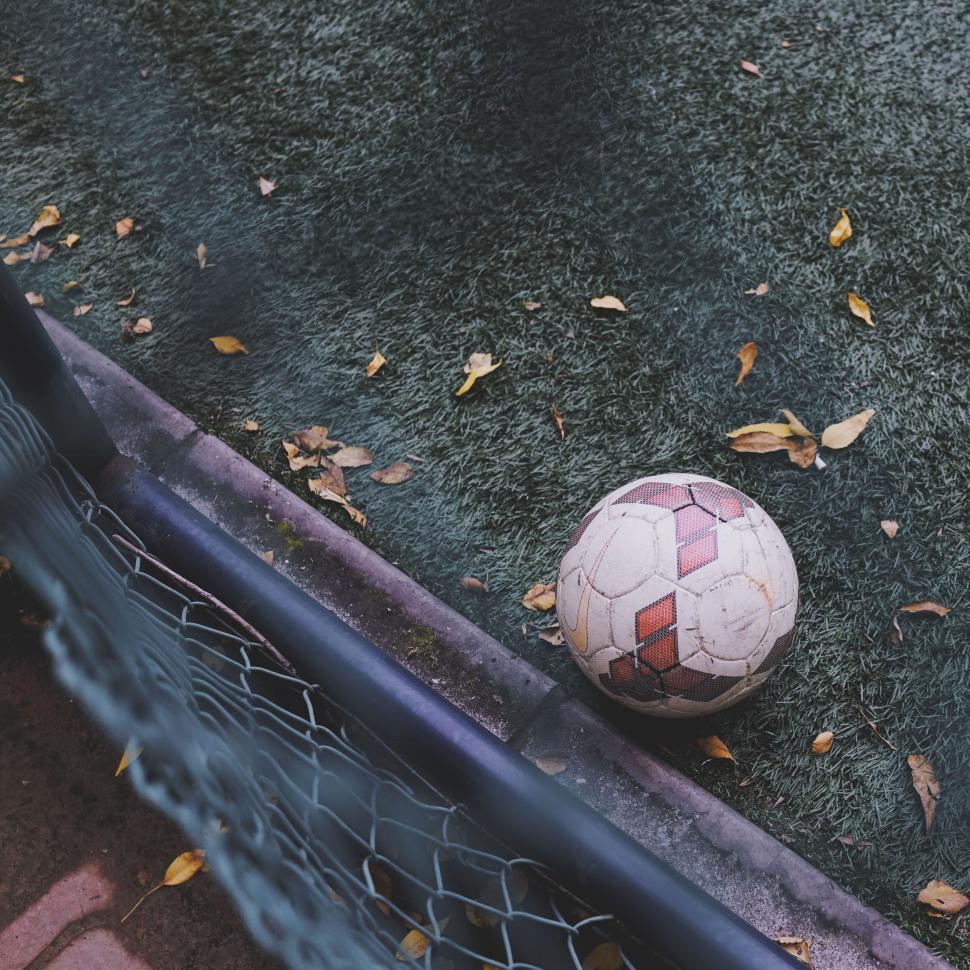 Free Image of Soccer ball by goal net 