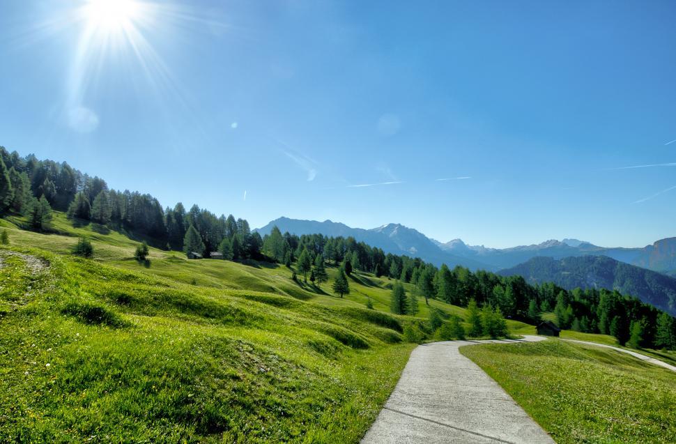 Free Image of Sunny path through vibrant mountain meadow 