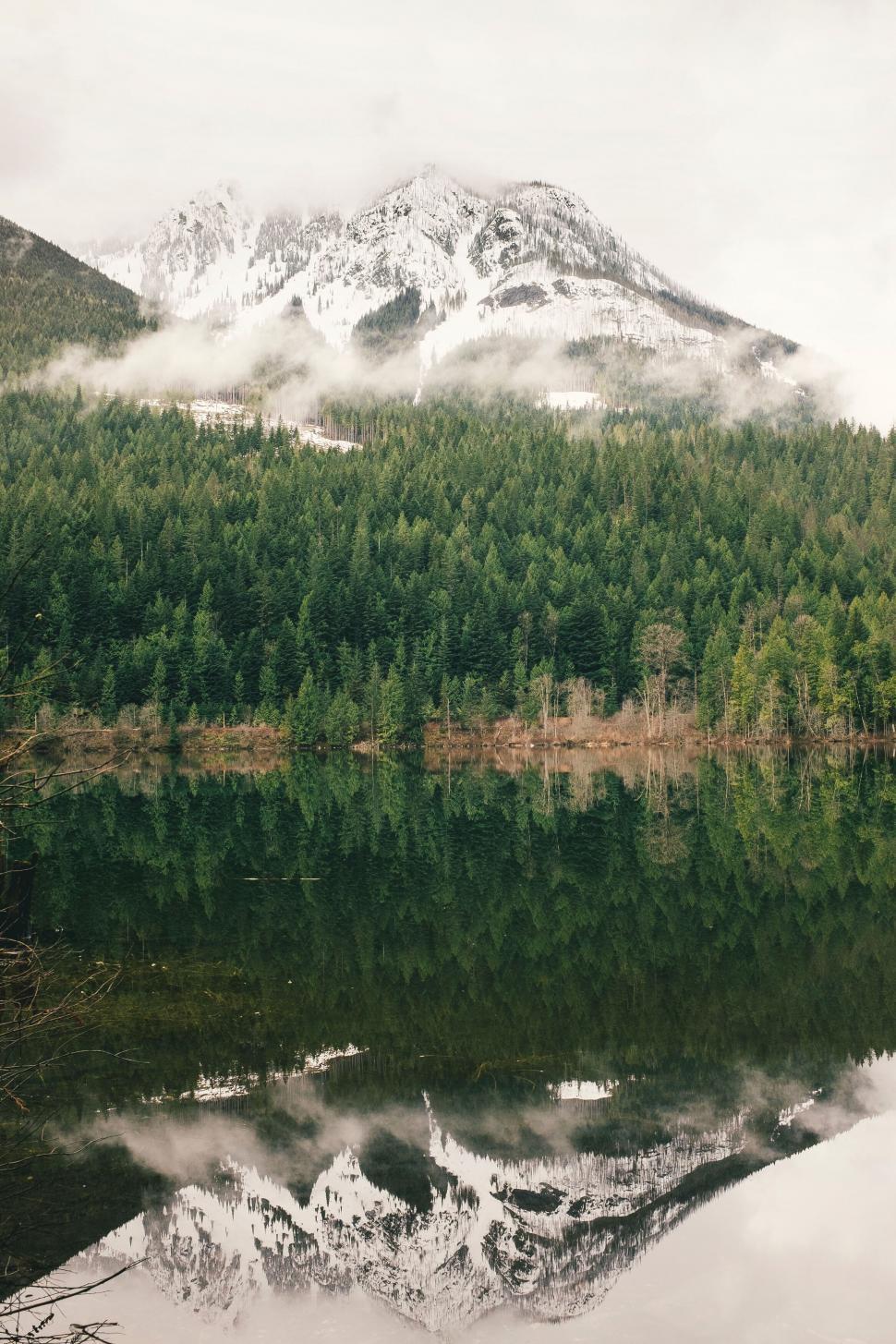 Free Image of Reflective mountain lake and forest 