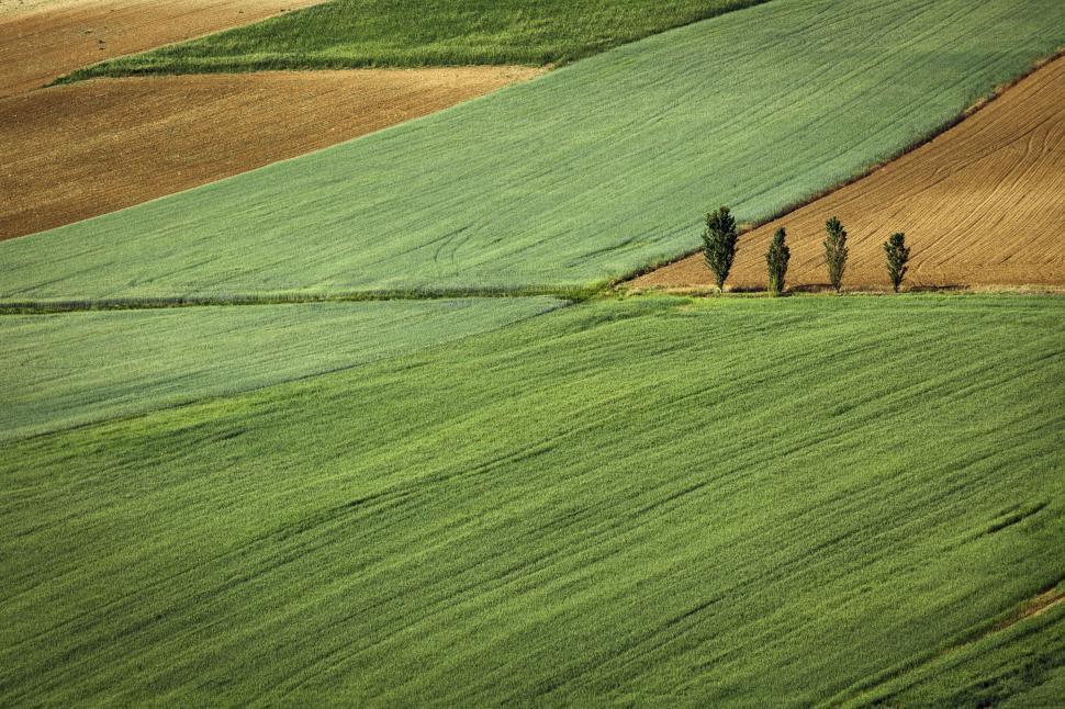 Free Image of Aerial view of rolling agricultural fields 