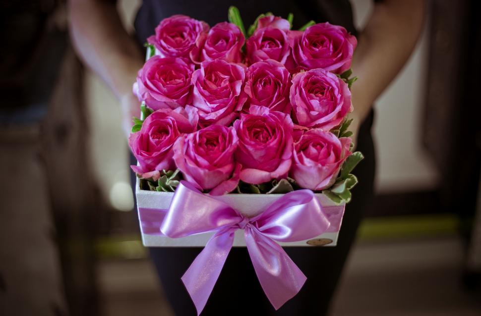 Free Image of Roses in a box with a pink ribbon 