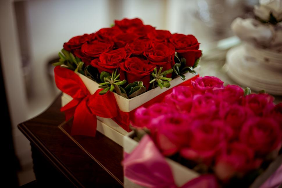 Free Image of Boxed red and pink roses with bow 
