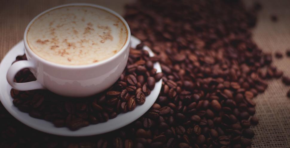 Free Image of Cup of cappuccino with coffee beans 