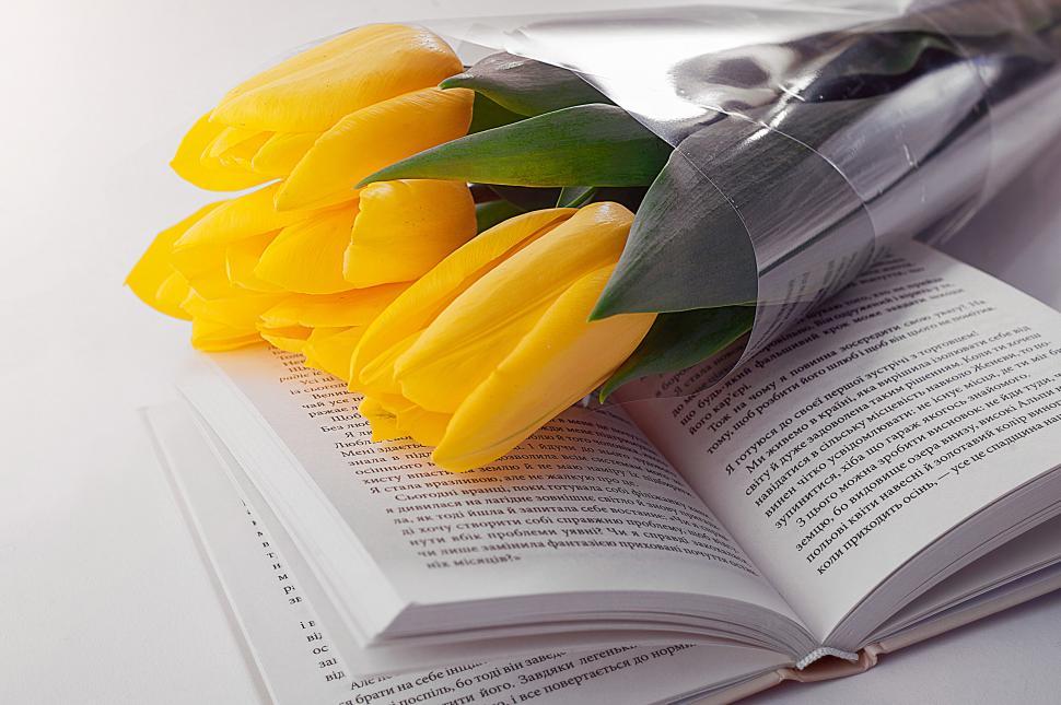 Free Image of Bouquet of yellow tulips on an open book 