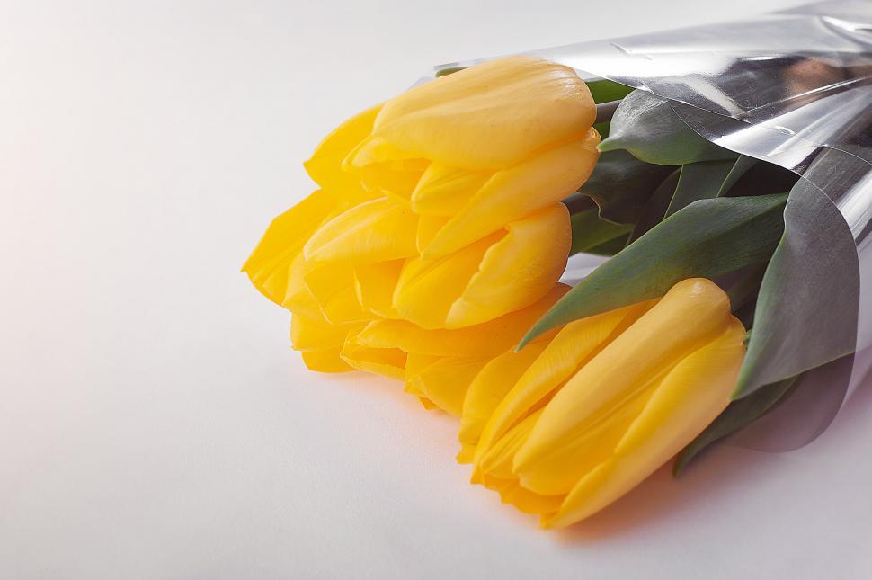 Free Image of Bunch of fresh yellow tulips wrapped 
