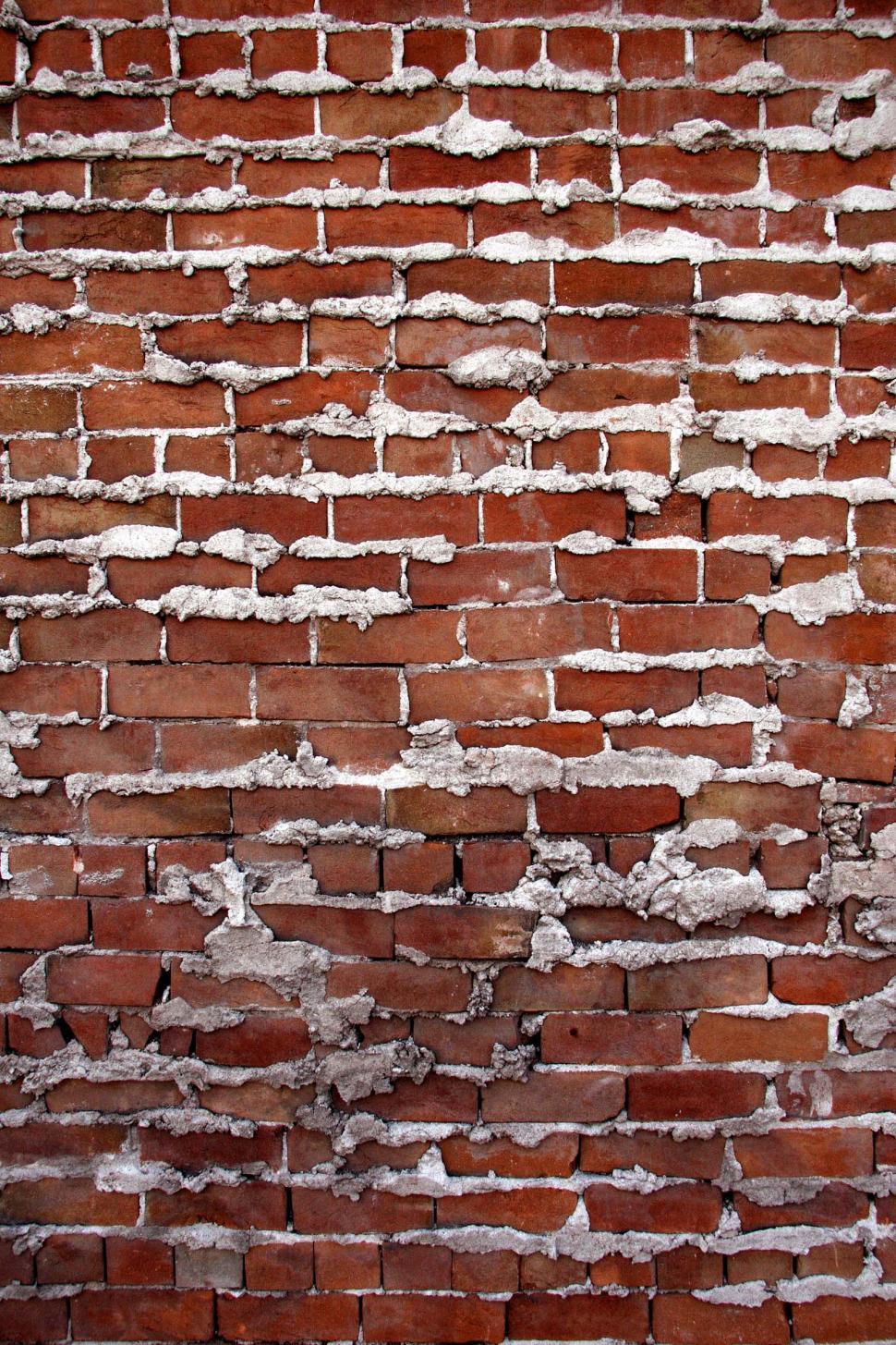 Free Image of Mortared joints in brick wall 