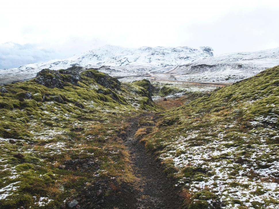 Free Image of Snowy Landscape with Path and Green Moss 