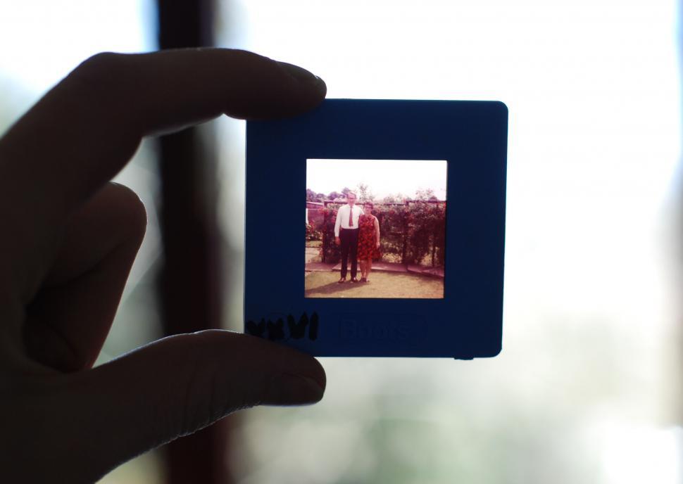 Free Image of Hand holding a slide with a photo 