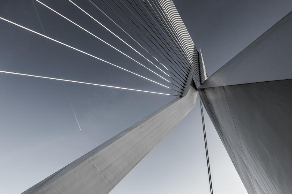 Free Image of Worm s-eye view of cable-stayed bridge 