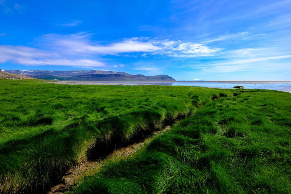 Free Image of Picturesque landscape with green fields and cliffs 